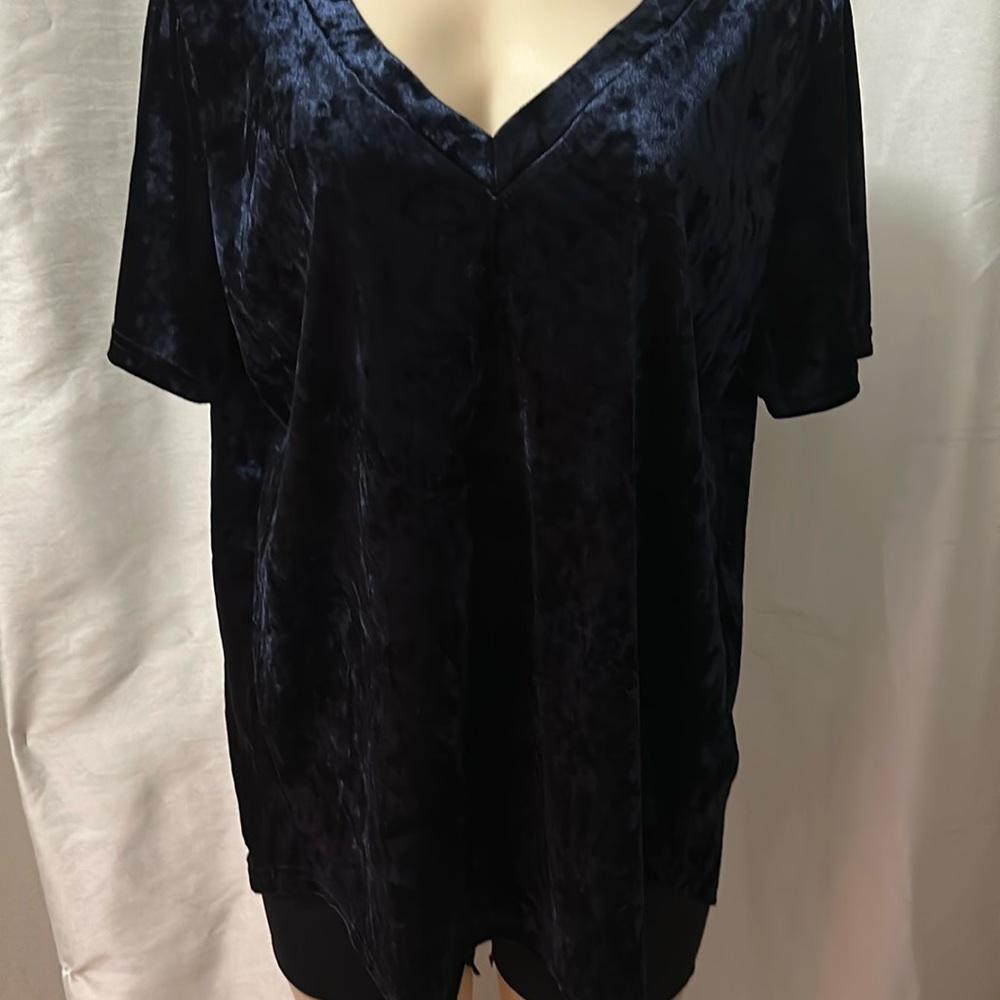 Amaryllis Blue 1X Velour Blouse